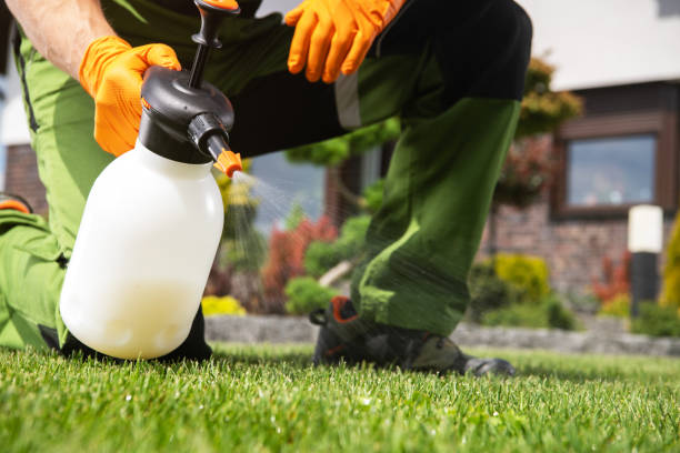 Best Pest Control Treatment  in Texanna, OK