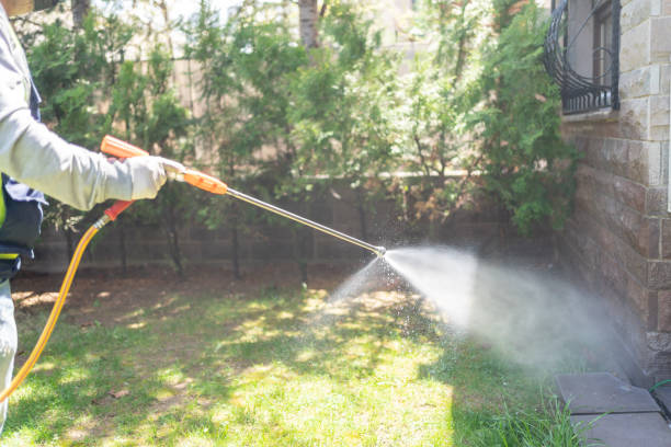 Best Pest Control for Homes  in Texanna, OK